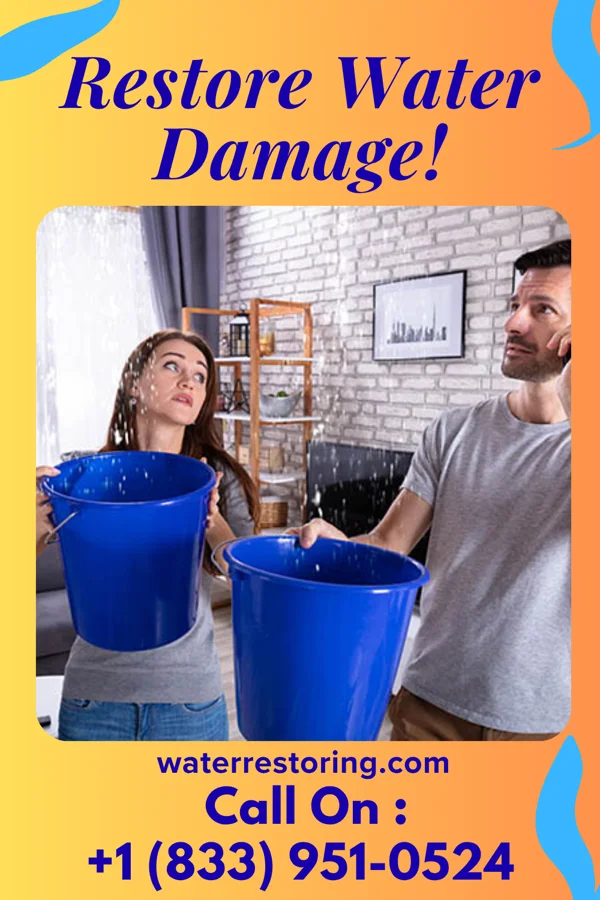 water restoration Pinnacle Disaster Recovery Co Pisgah